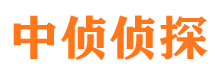 龙山外遇调查取证